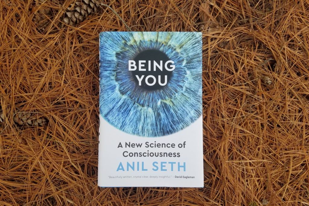 Being You: A New Science of Consciousness