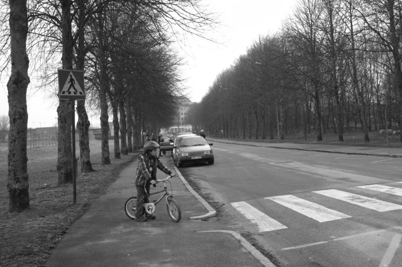 Child crossing the road on a bicycle at a crosswalk